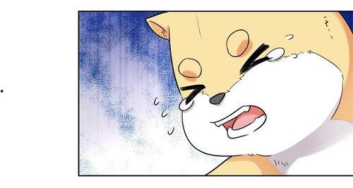 今天也无异样,岁月静好