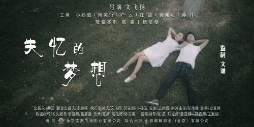 失忆的梦想,探寻记忆碎片中的秘密世界