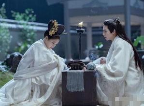 凤囚凰醉卧天下,醉卧天下，谱写传奇人生