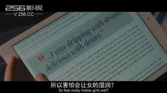 安全邻域,守护社区安宁的全方位策略解析